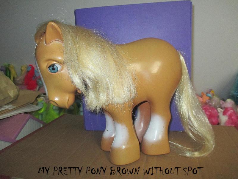 My pretty pony brown